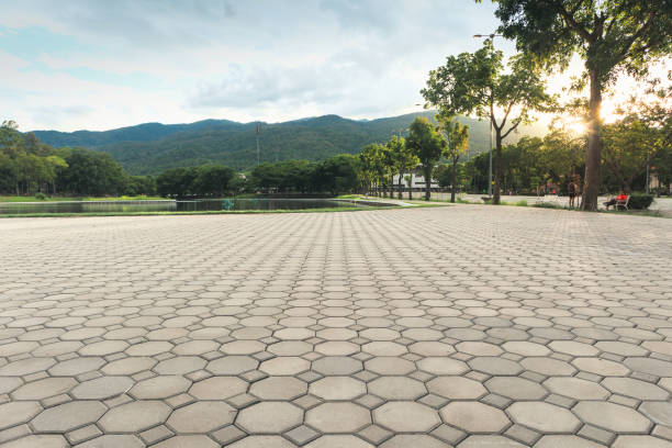 Best Custom Driveway Pavers  in Beesleys Point, NJ